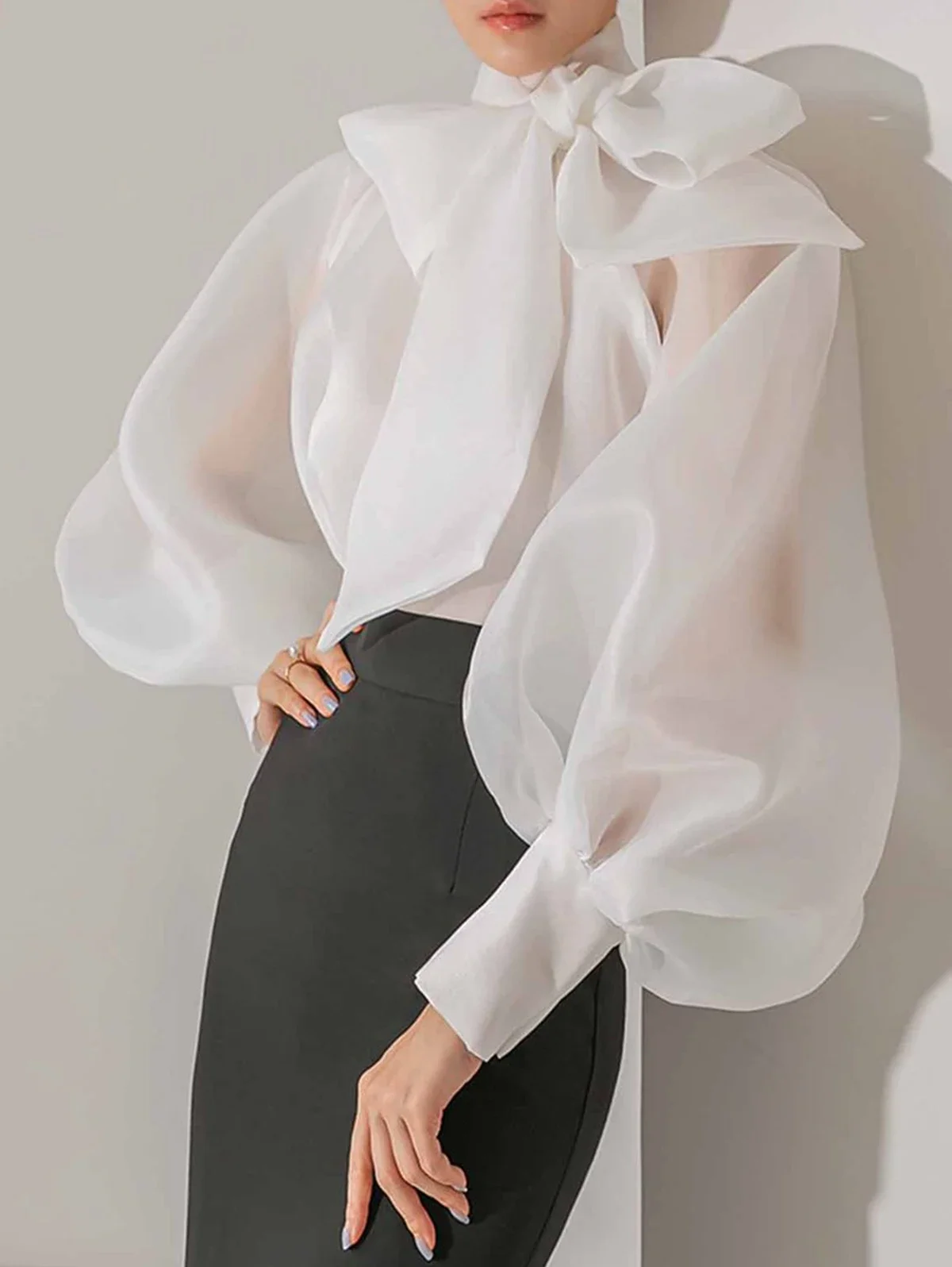 Women's Elegant Lantern Sleeve – Street Fashion Necklace recenzja i cena