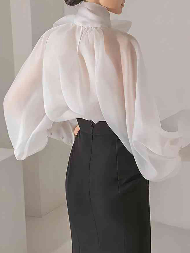 Women's Elegant Lantern Sleeve – Street Fashion Necklace recenzja i cena
